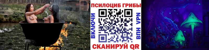 Купить где  Самара  Псилоцибиновые грибы Magic Shrooms 